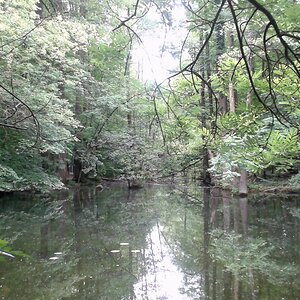 Spandauer Kuhlake (Stadtforst Berlin Spandau)