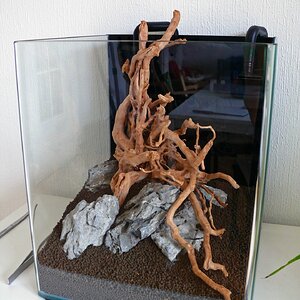 Aquascape 3 web