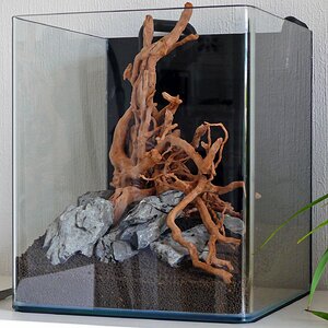 Aquascape 4 web