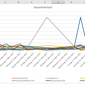 Gesamtverlauf