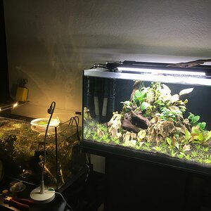 60erAquarium 2109 01