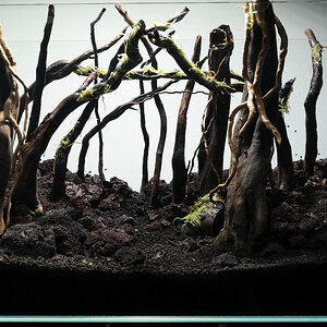 final hardscape photo 2