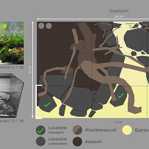 Hardscape-Plan Draufsicht Dschungelpfad by Scapestian STH