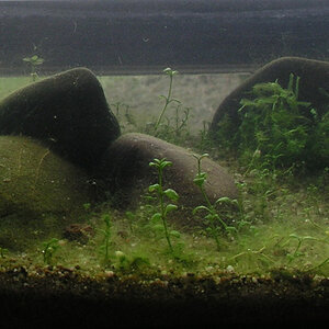 Test Aquarium 200308