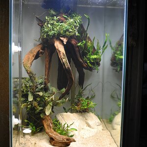 Rescape I