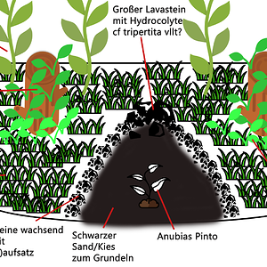 Planung 1