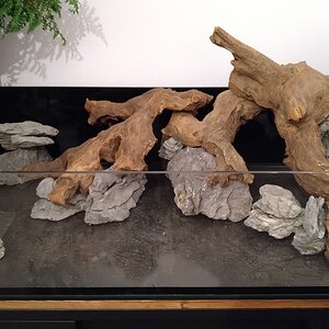 Hardscape Vogelperspektive