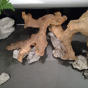 Hardscape Draufsicht