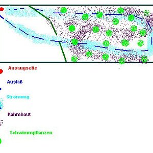 Beckenst