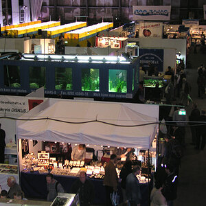 Zierfische & Aquarium Messe 08