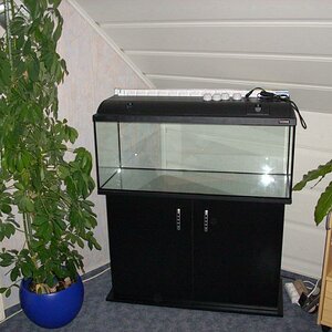 Aquarium Aufbau