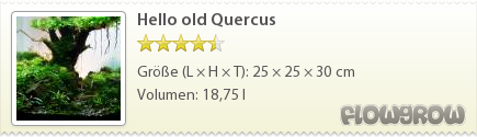 $Hello old Quercus