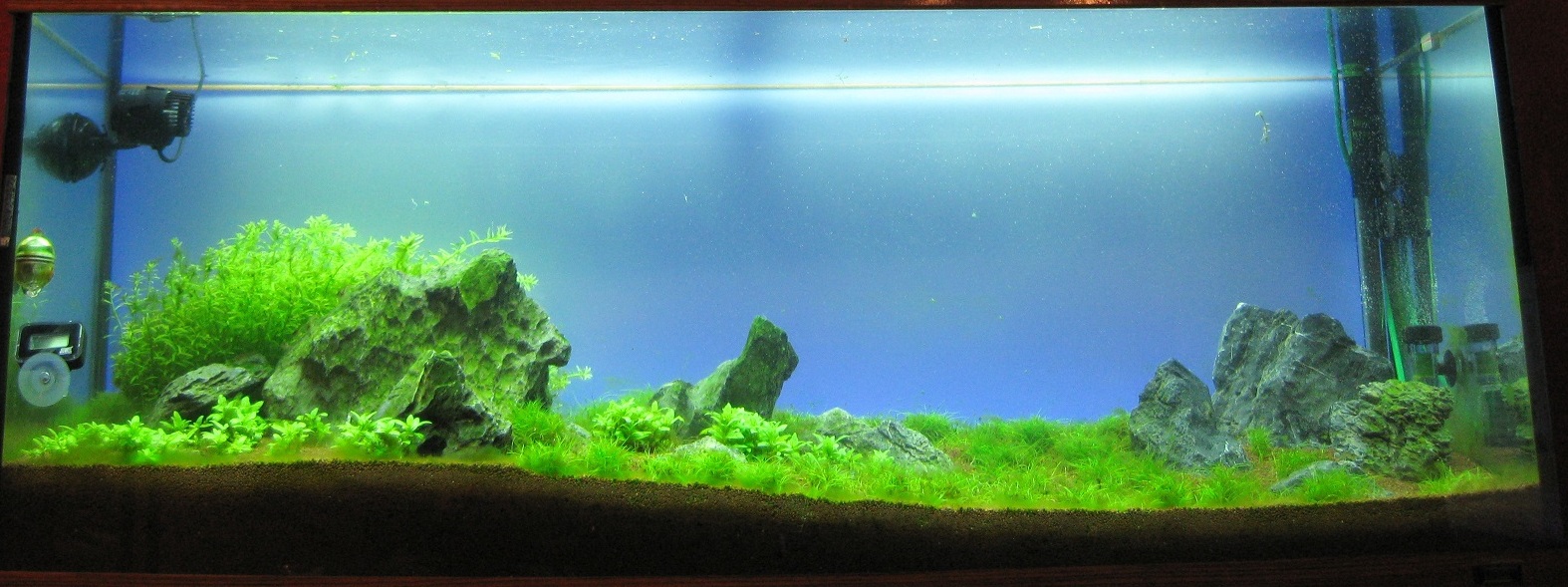 1. Aquascape