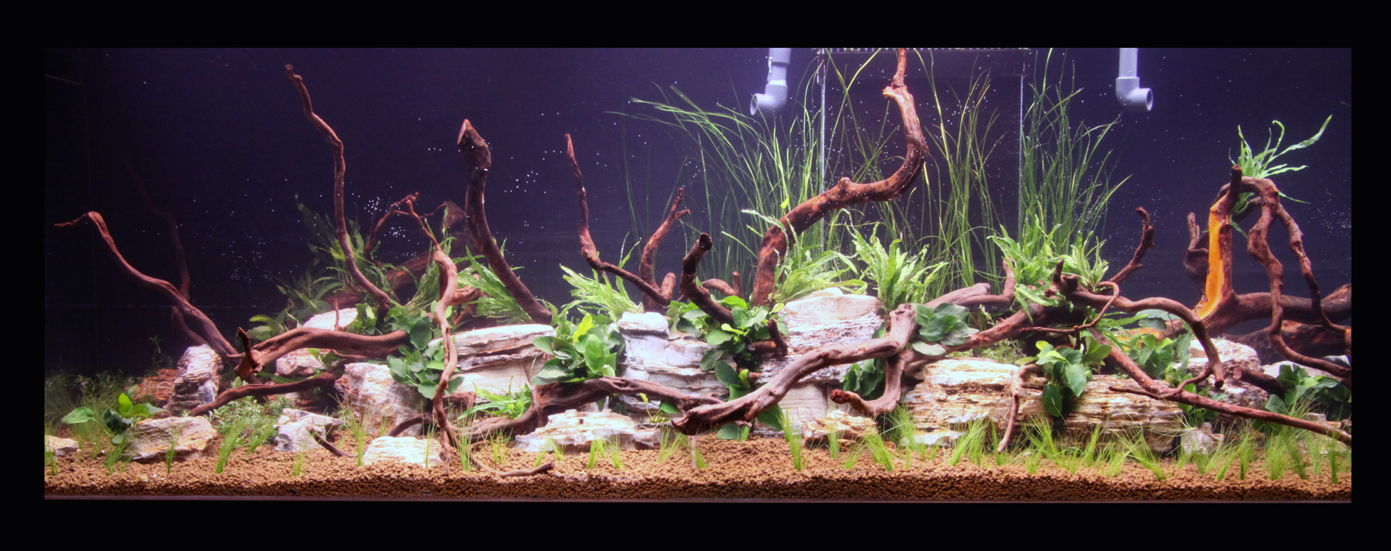 1000l Aquarium