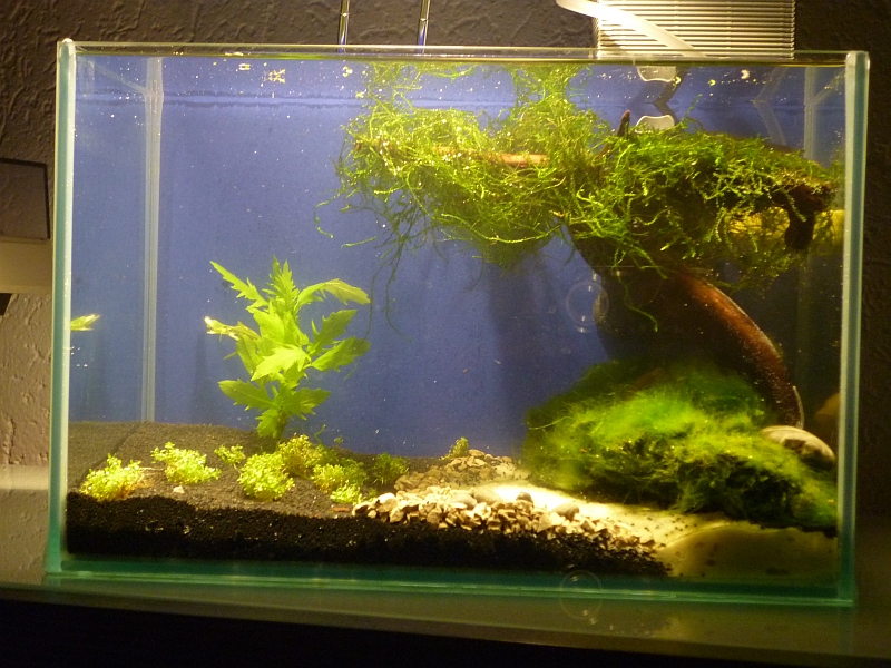 12 Liter Nano