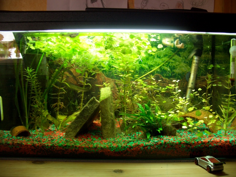 20w Aquaglo