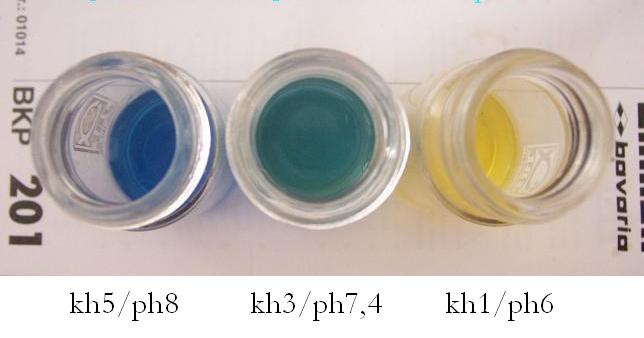 24h abgestandene Ph-Tests