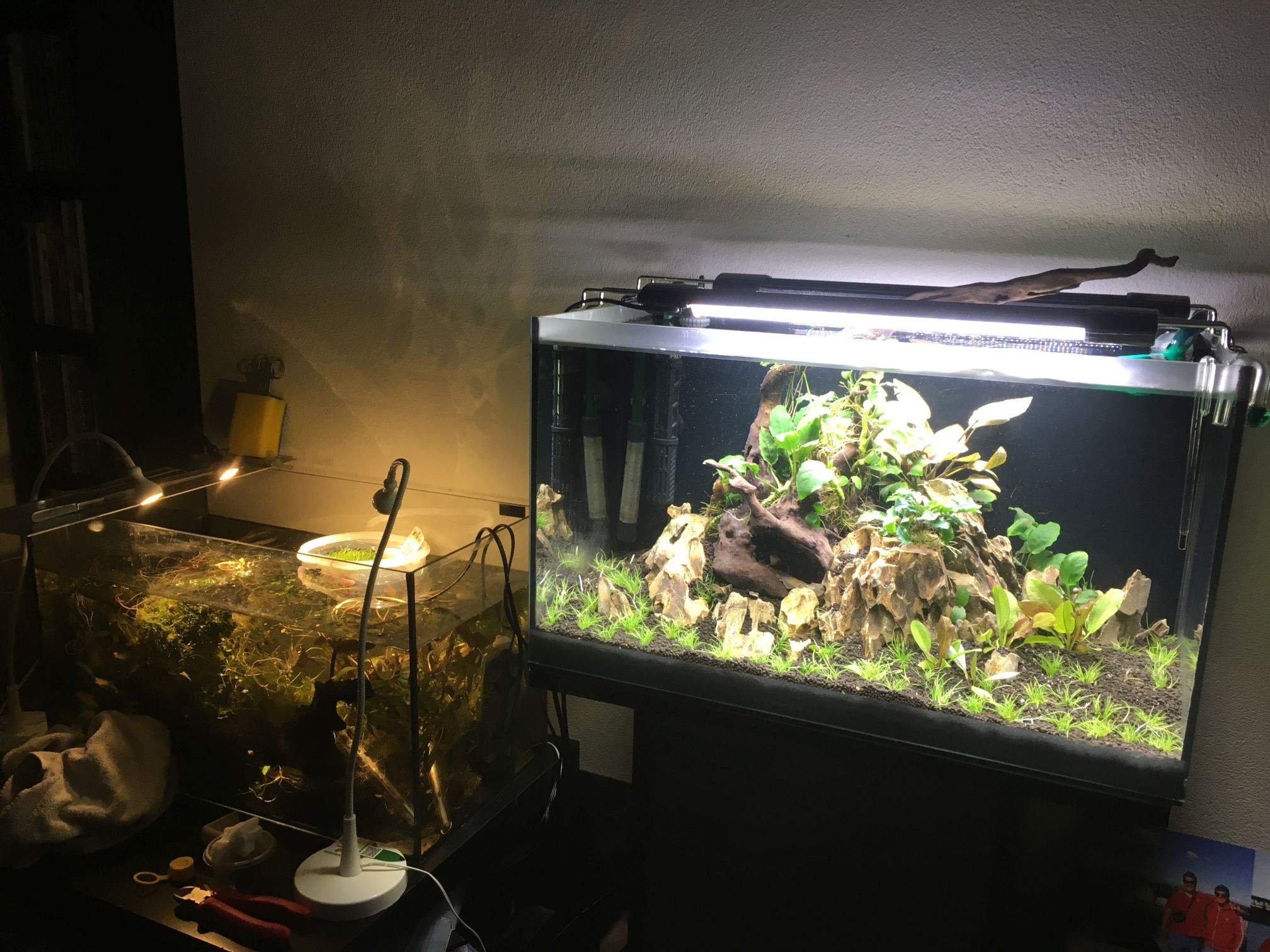 60erAquarium 2109 01