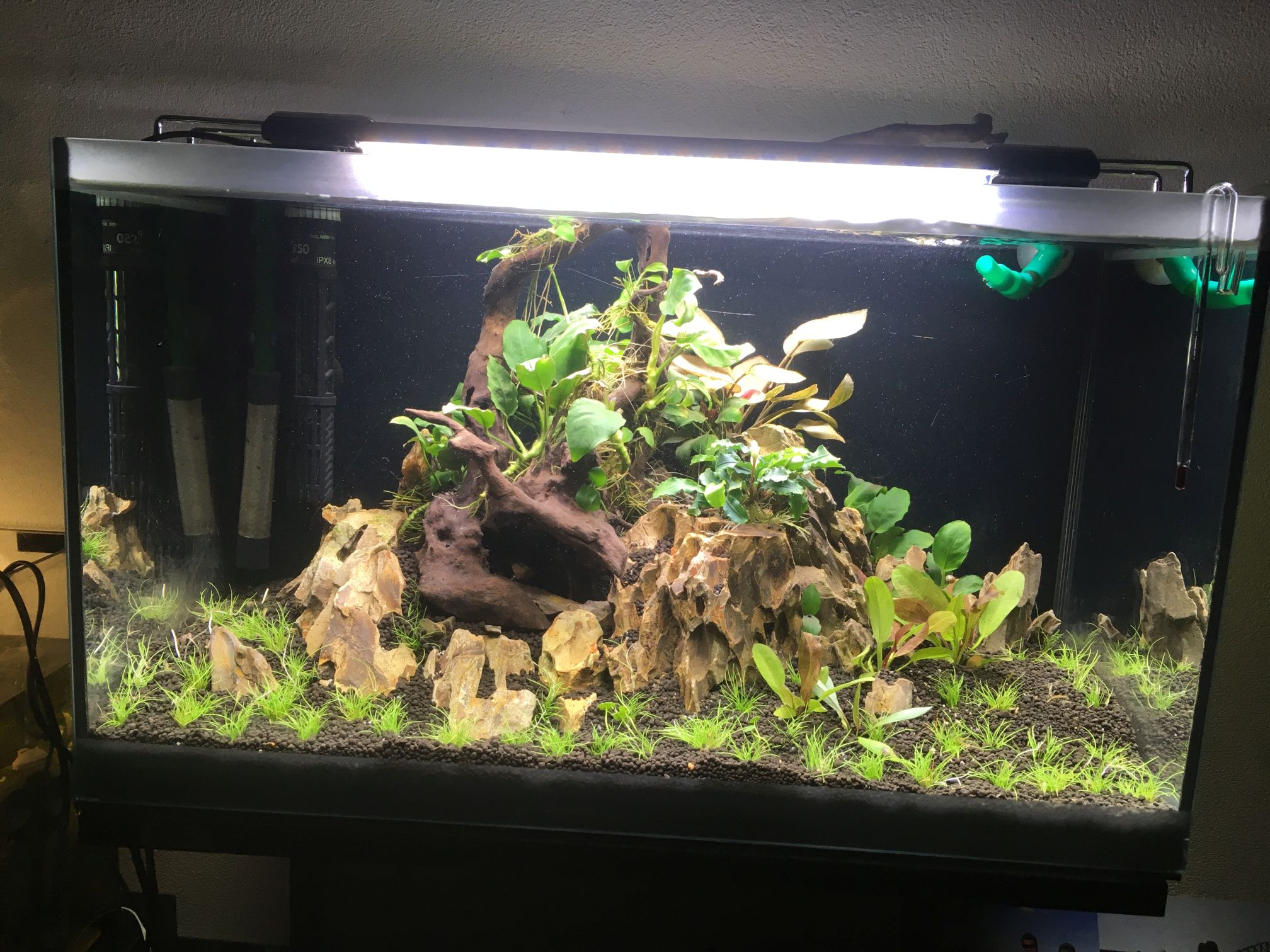 60erAquarium 2109 03