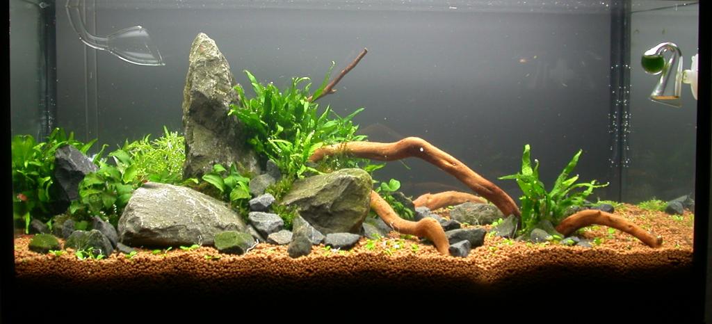 Ada60 - Tag - 01#2