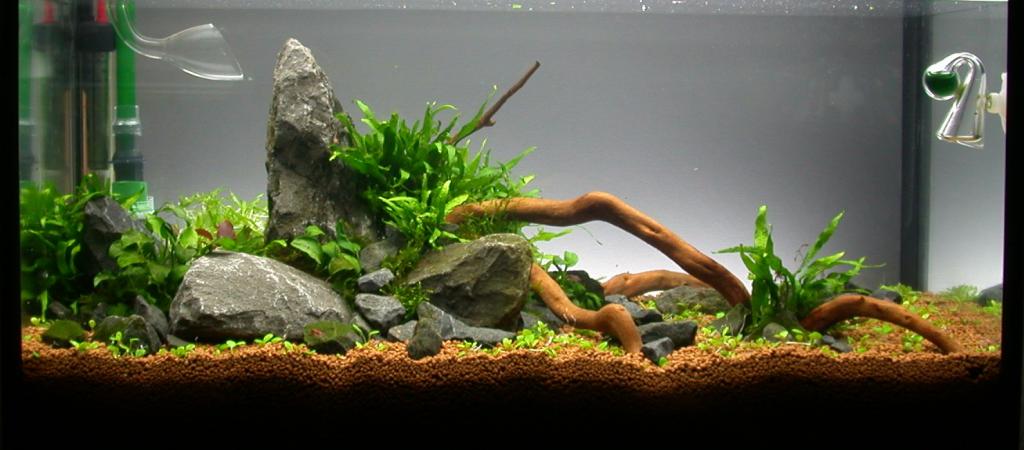 Ada60 - Tag - 03#1