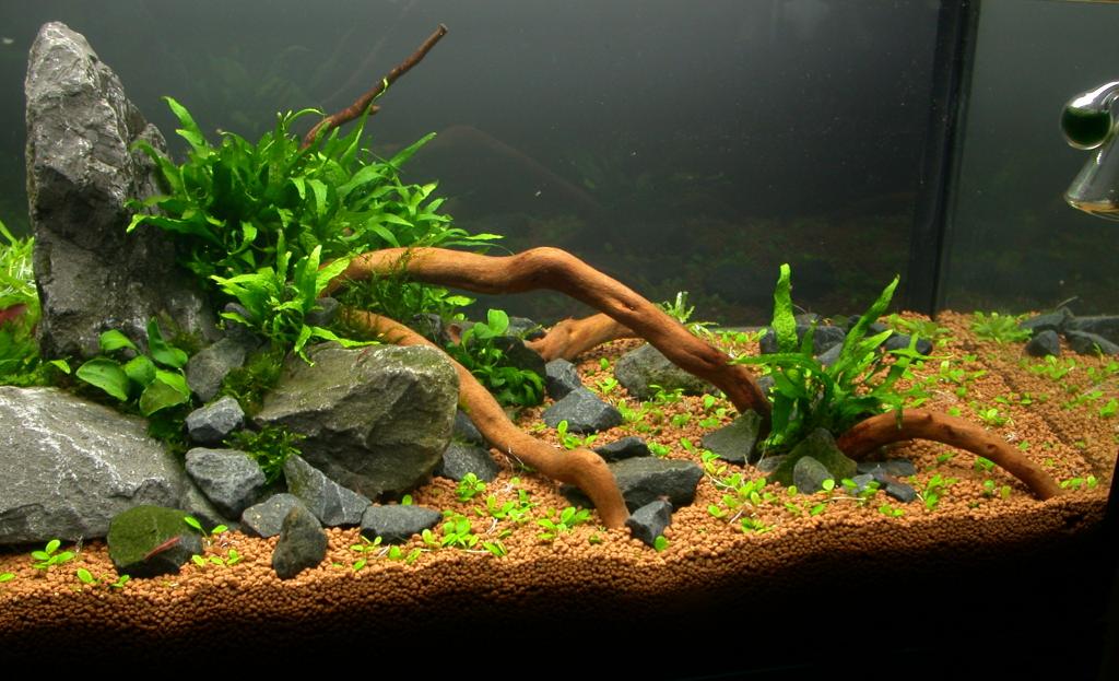 Ada60 - Tag - 03#5