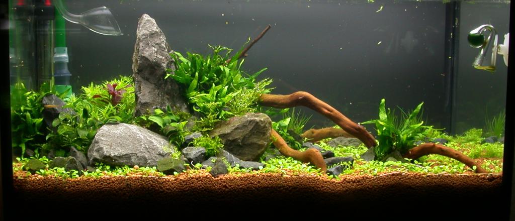 Ada60 - Tag - 10#1