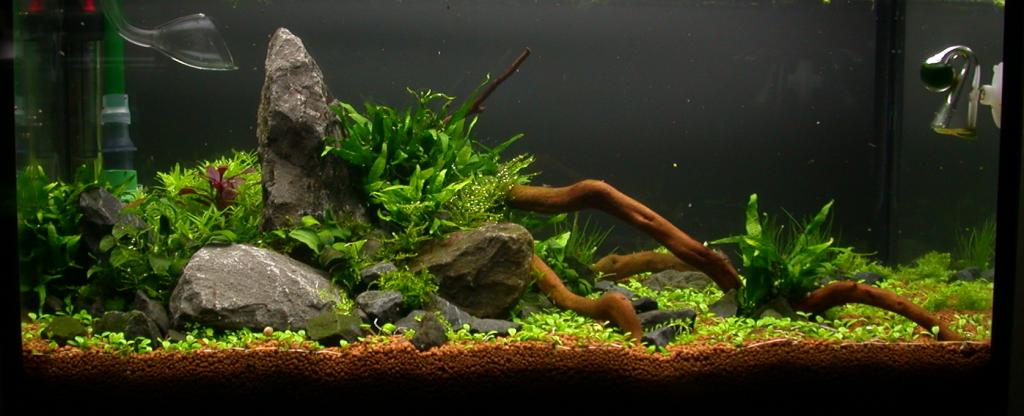 Ada60 - Tag - 10#4