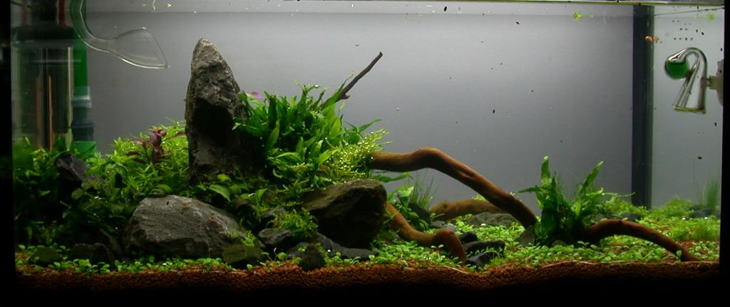 Ada60 - Tag - 11#1