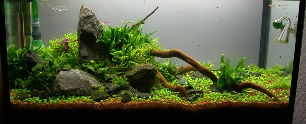 Ada60 - Tag - 11#2