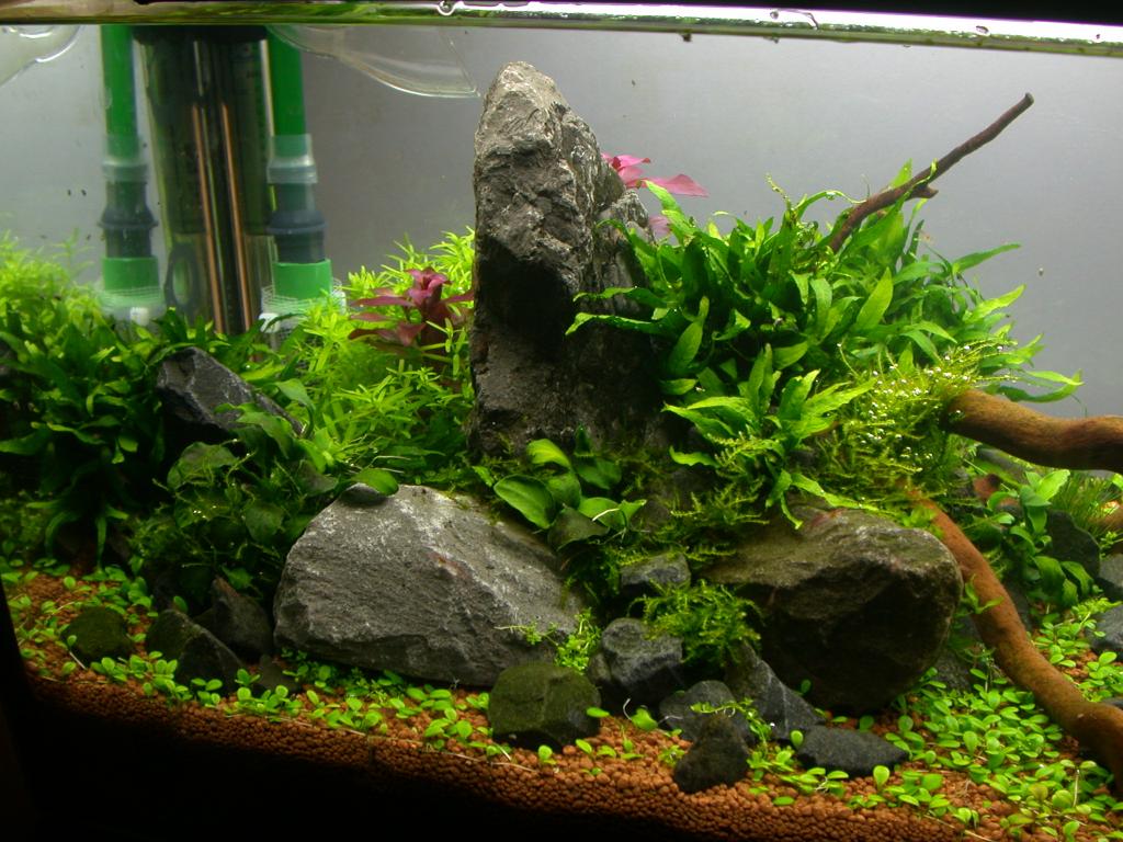 Ada60 - Tag - 11#3