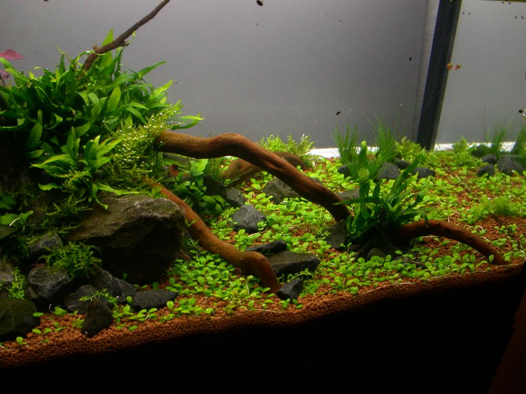 Ada60 - Tag - 11#4