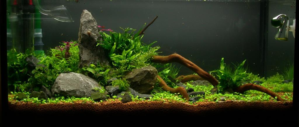 Ada60 - Tag - 12#1