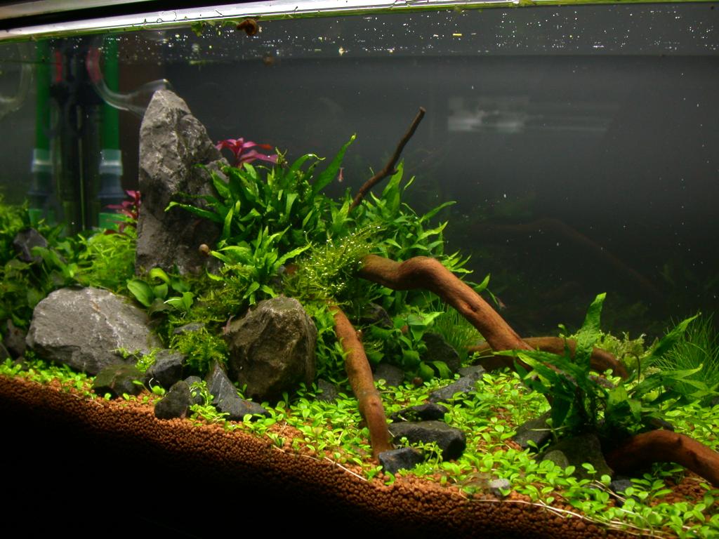 Ada60 - Tag - 12#2