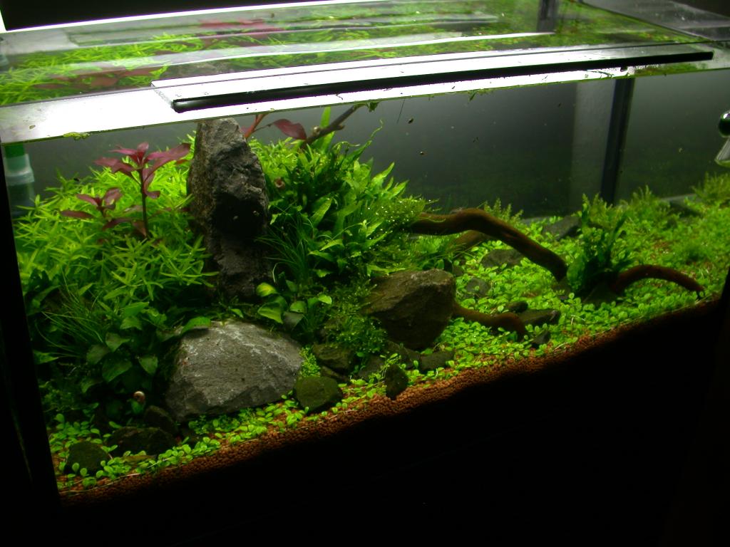 Ada60 - Tag - 18#2