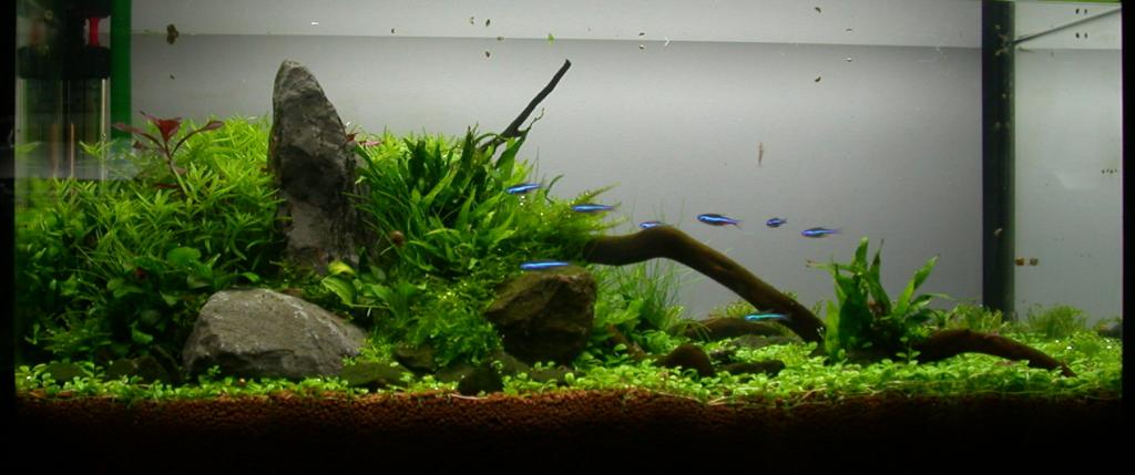 Ada60 - Tag - 24#1