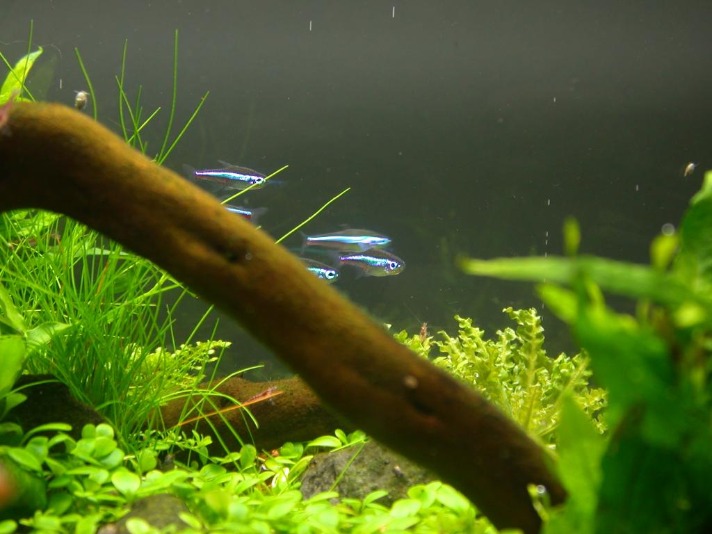 Ada60 - Tag - 24#7