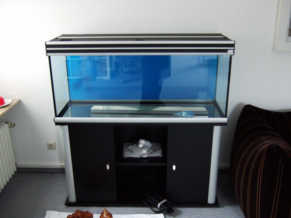 Aquarium Ganz Leer