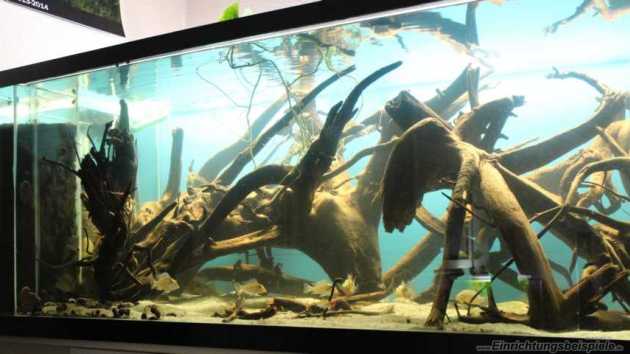 aquarium-hauptansicht-von-becken-24363  e03177a43528b3ee3b533a347c7e7174