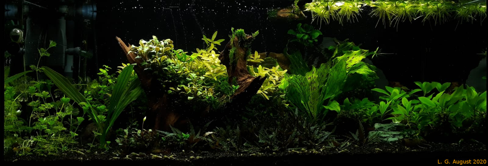 Aquarium_160l-2020_08.jpg