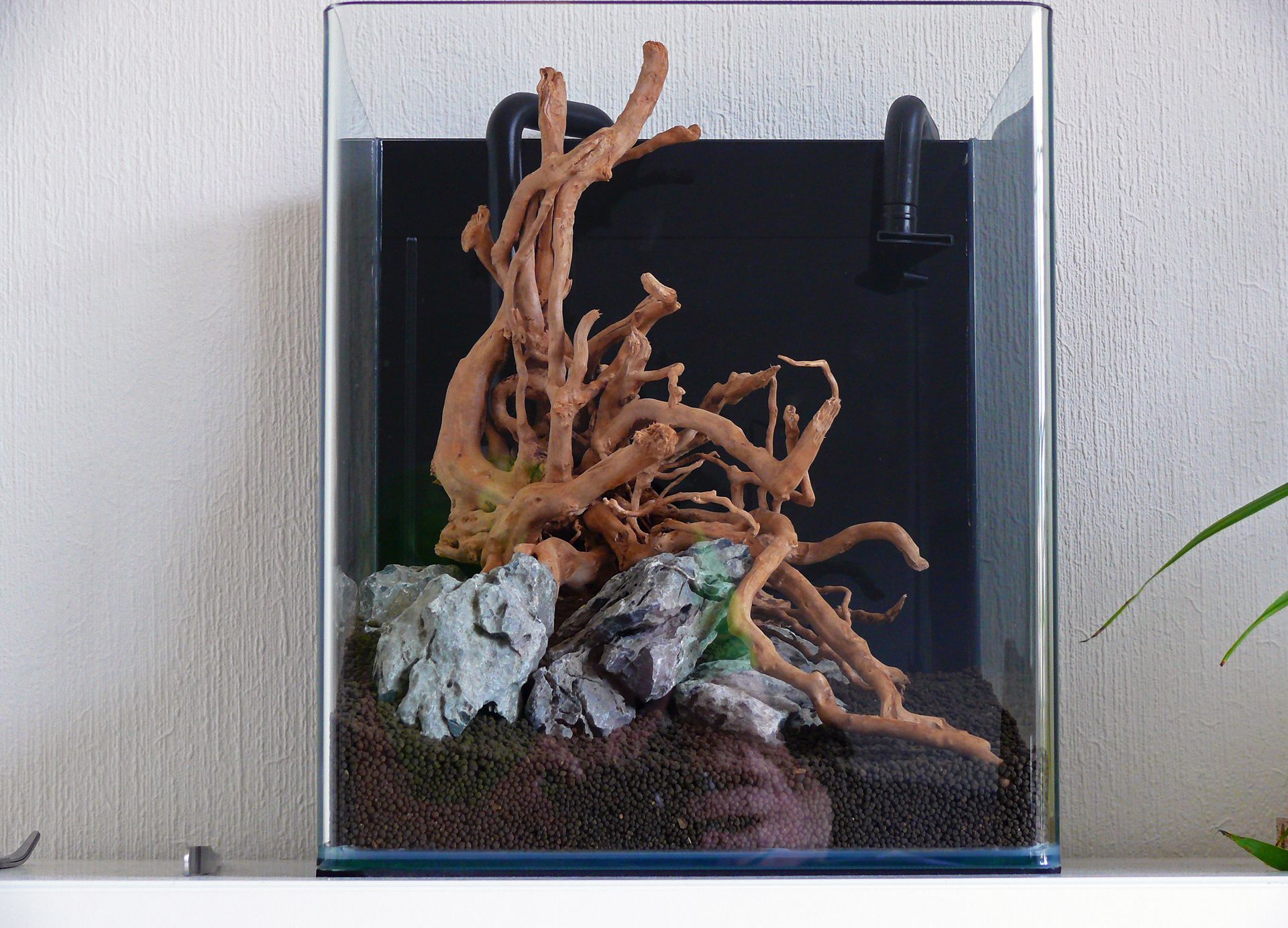 Aquascape 1 web