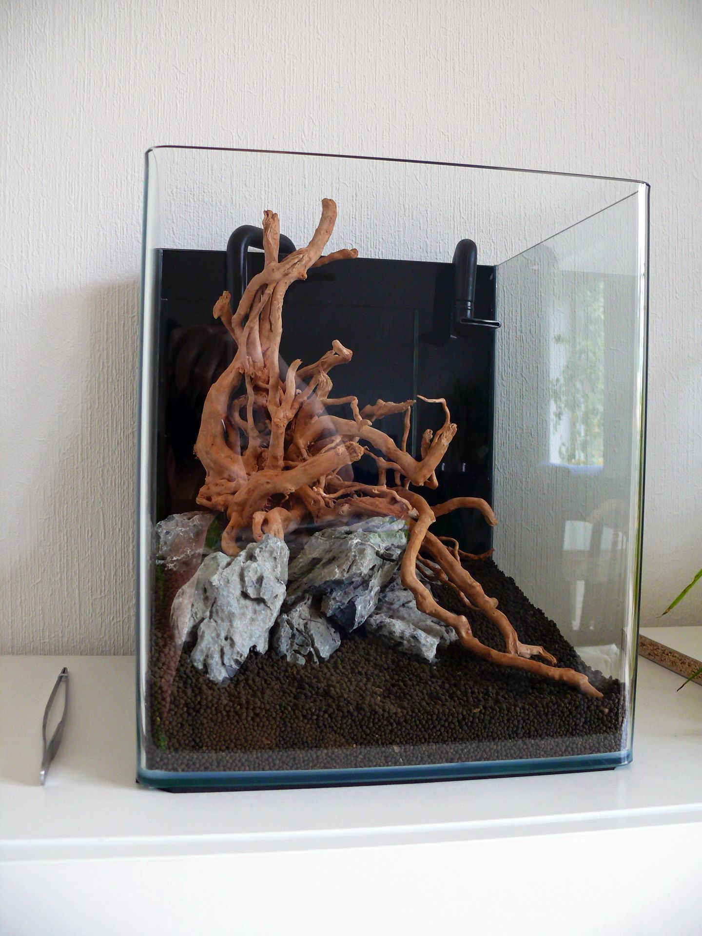 Aquascape 2 web