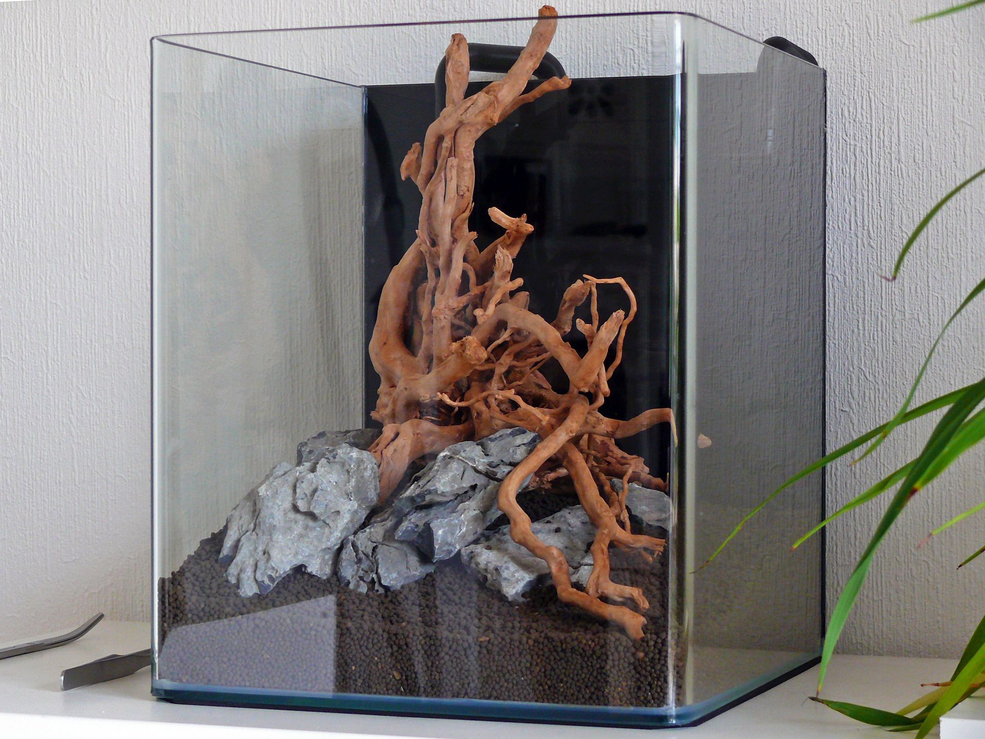 Aquascape 4 web