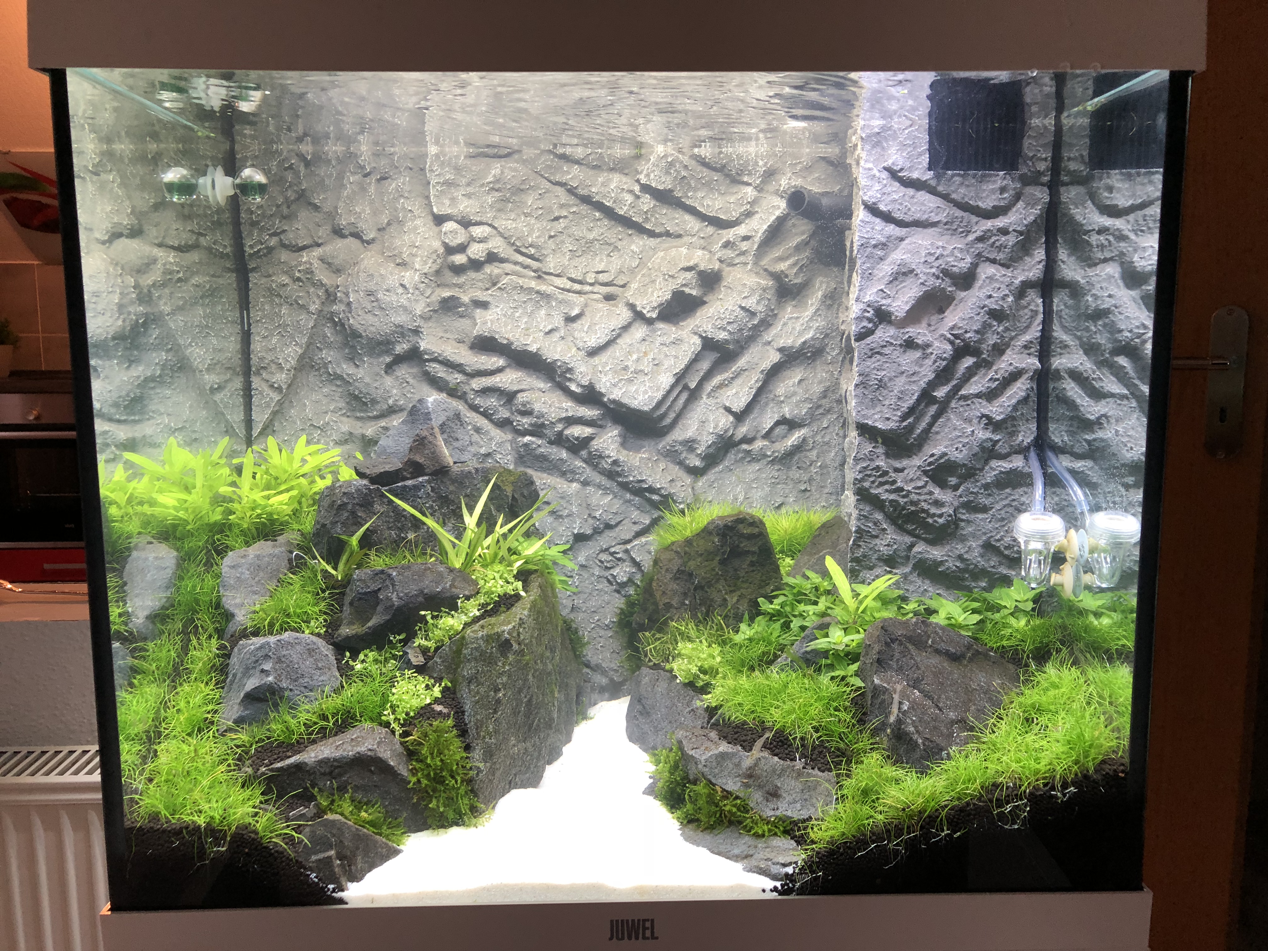 Aquascape Lido120 Einlaufphase