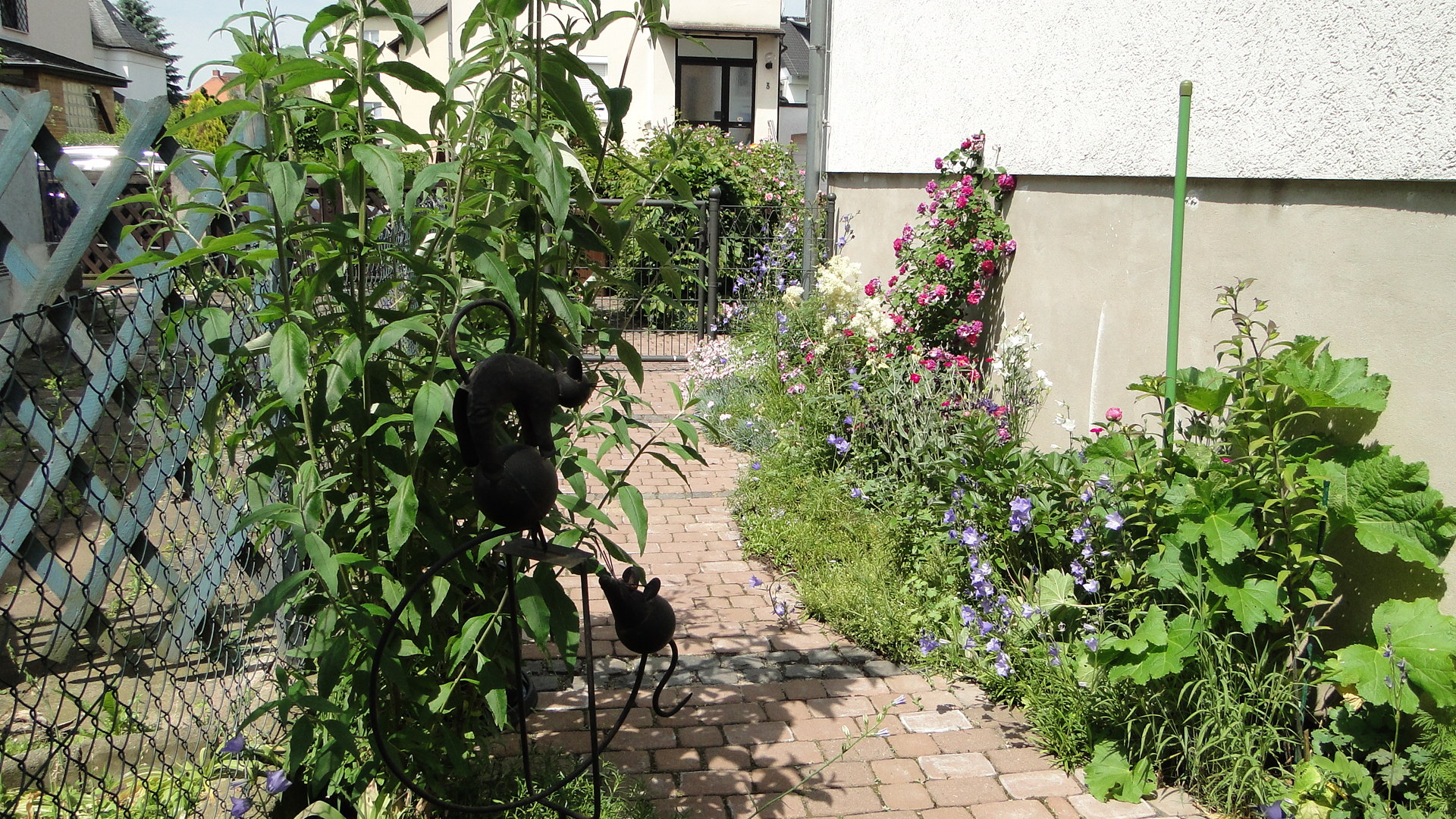 aus dem Garten zum Vorgarten