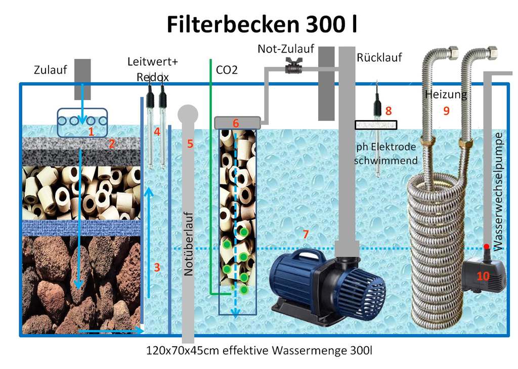 filterbecken