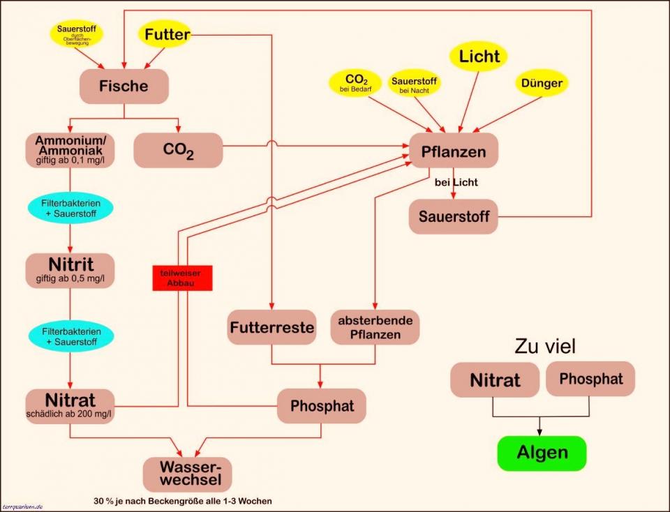 Filterdiagramm