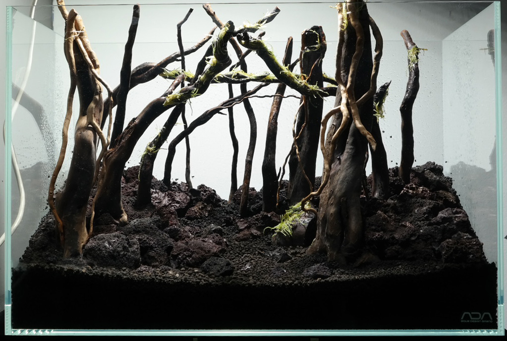 final hardscape photo 2