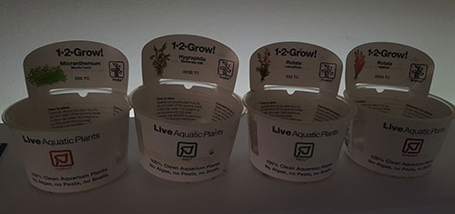 flowgrow 5