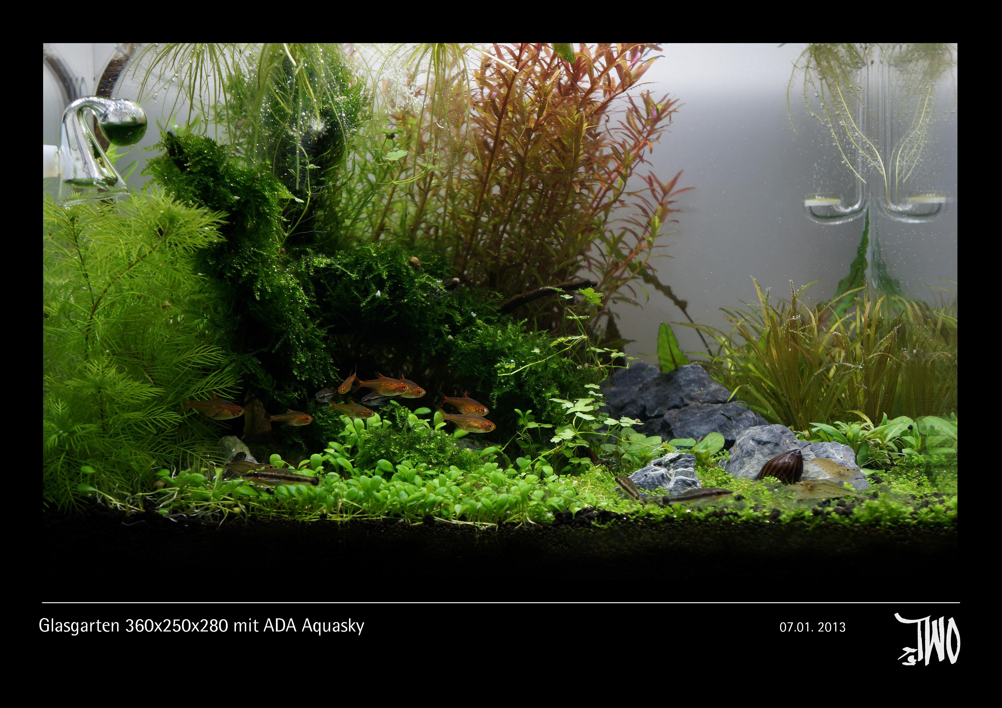 Glasgarten 360x250x280 mit ADA Aquasky Bild 03